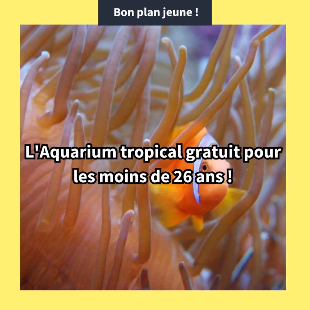 Aquarium Tropical