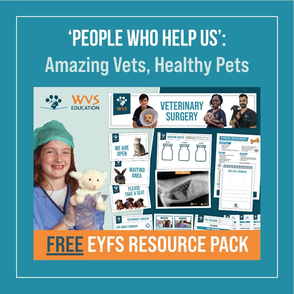 FREE Early Years resources
