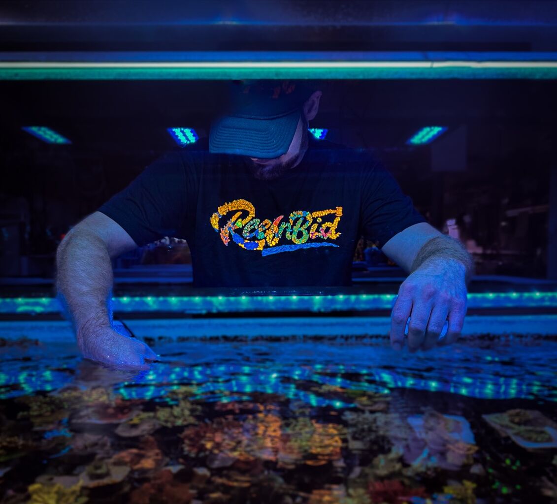 ReefnBid UV Ink Illustrative Logo T-Shirt
