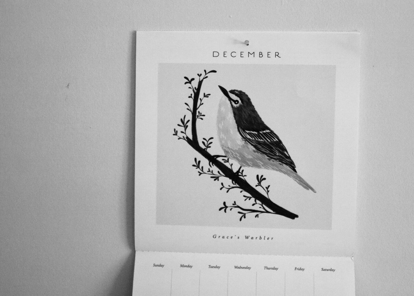 Avoid the Experience Trap This Christmas [The Gospel Coalition]