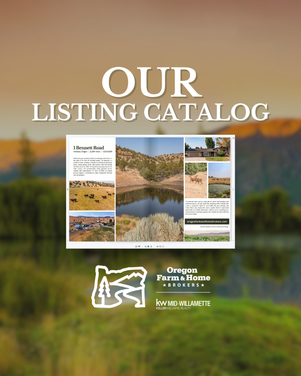 Listing Catalog