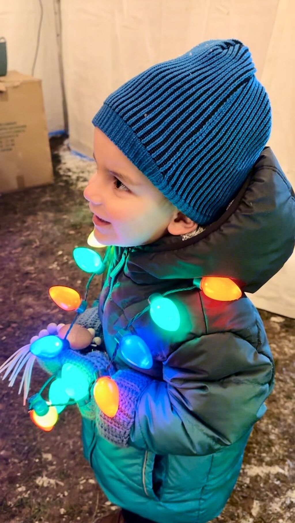 Holiday Magical Forest