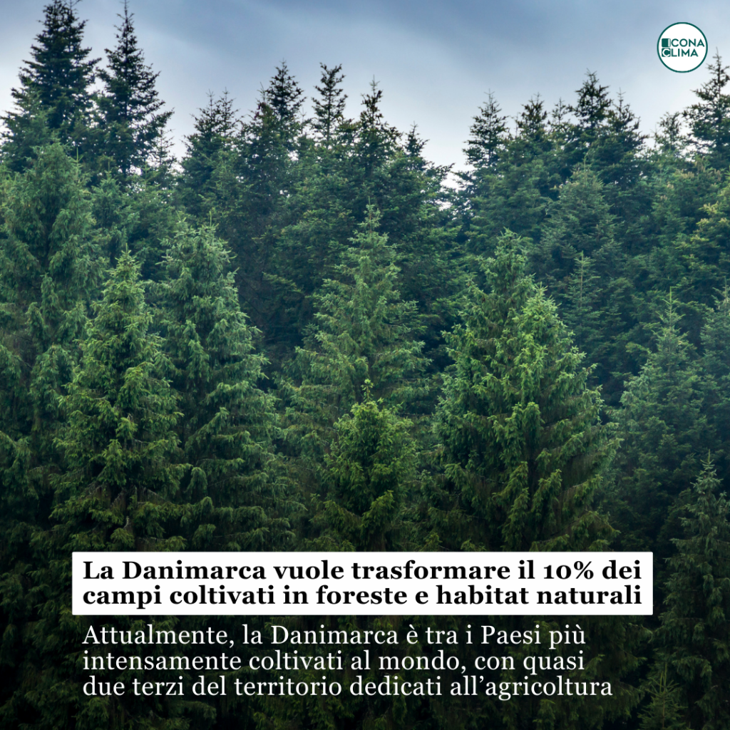 La Danimarca punta su un miliardo di alberi