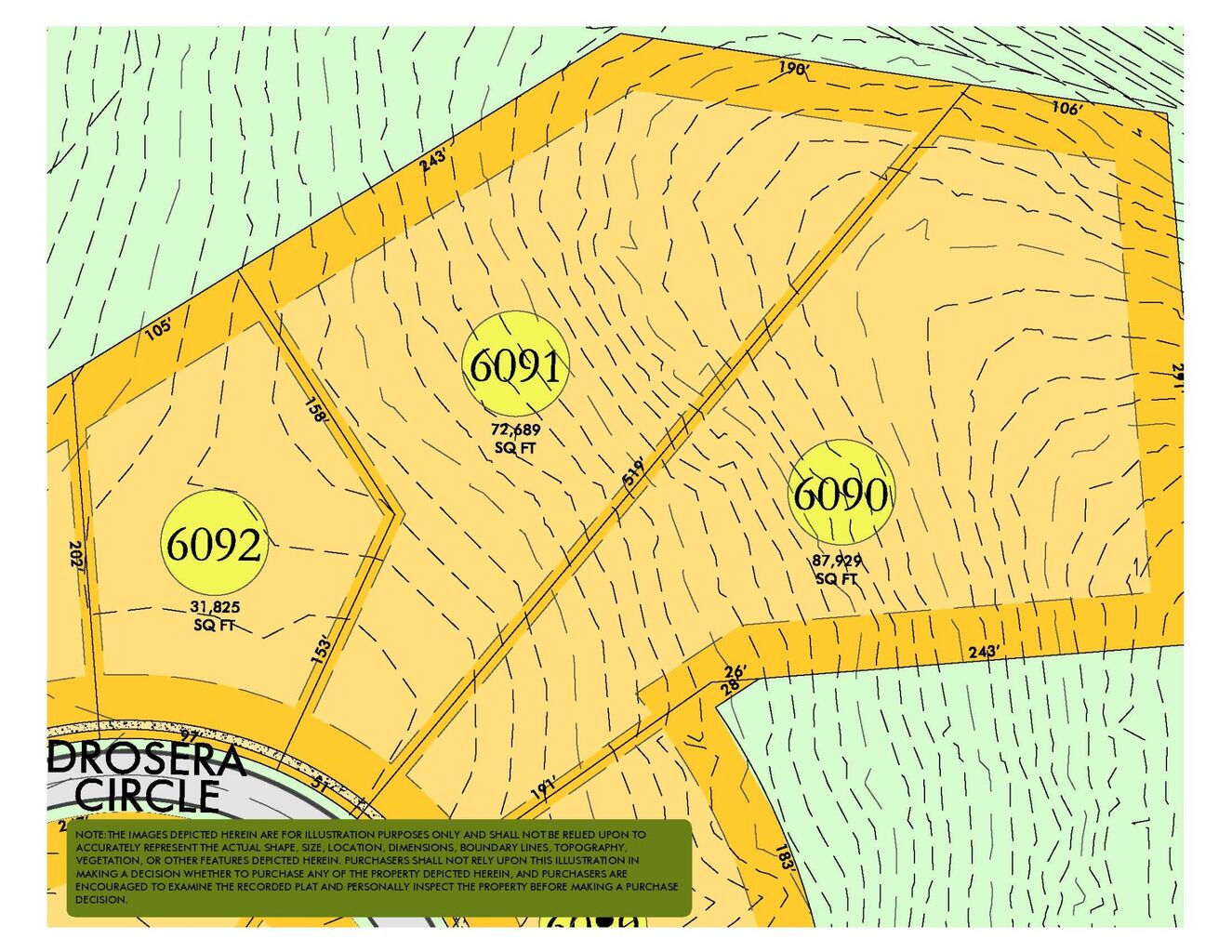 8817 Drosera Circle (Lot 6091) - Grove Living