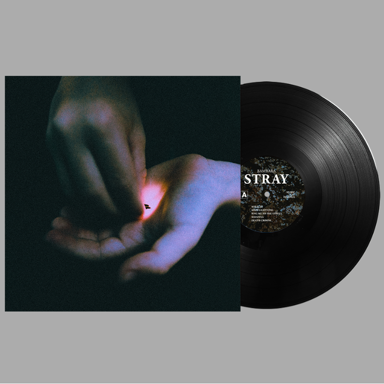 Order New &lsquo;Stray&rsquo; Vinyl Pressing