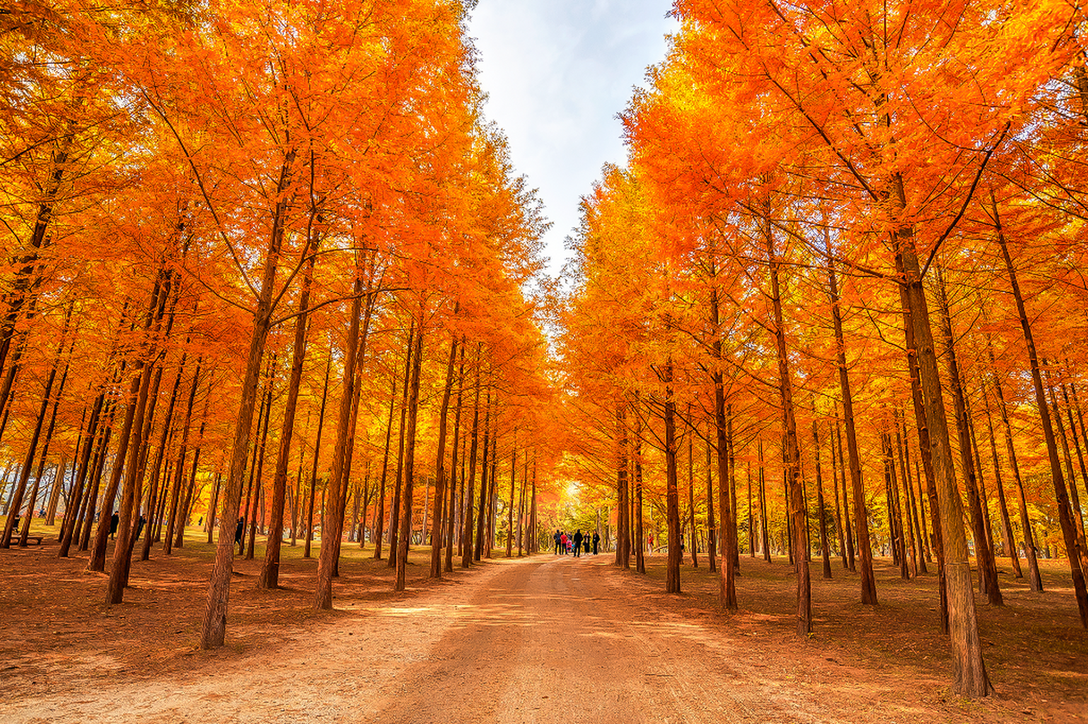 nami island