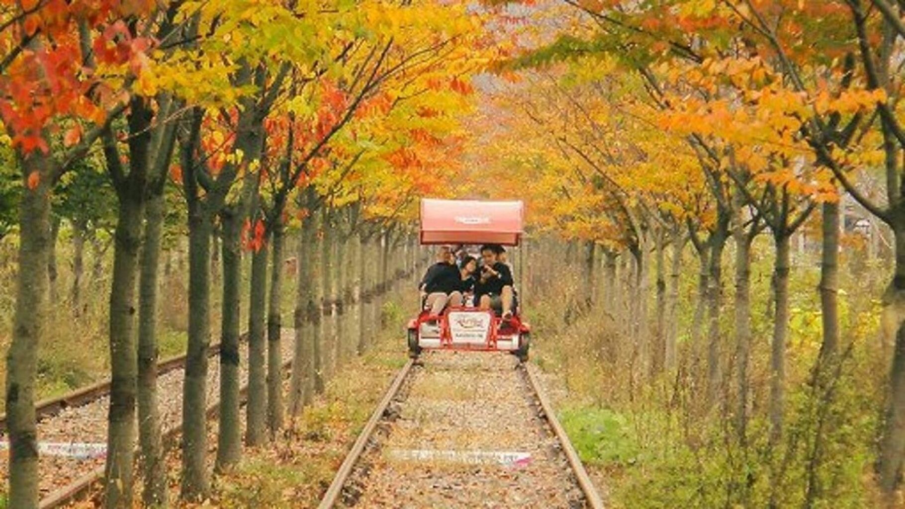 gangchon rail bike