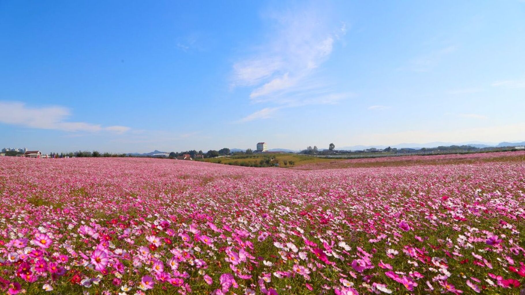 anseong farmland