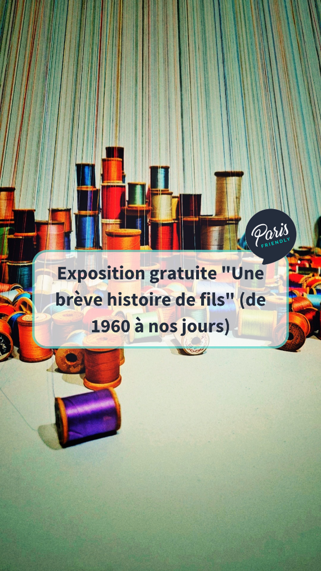 Une br&egrave;ve histoire de fils