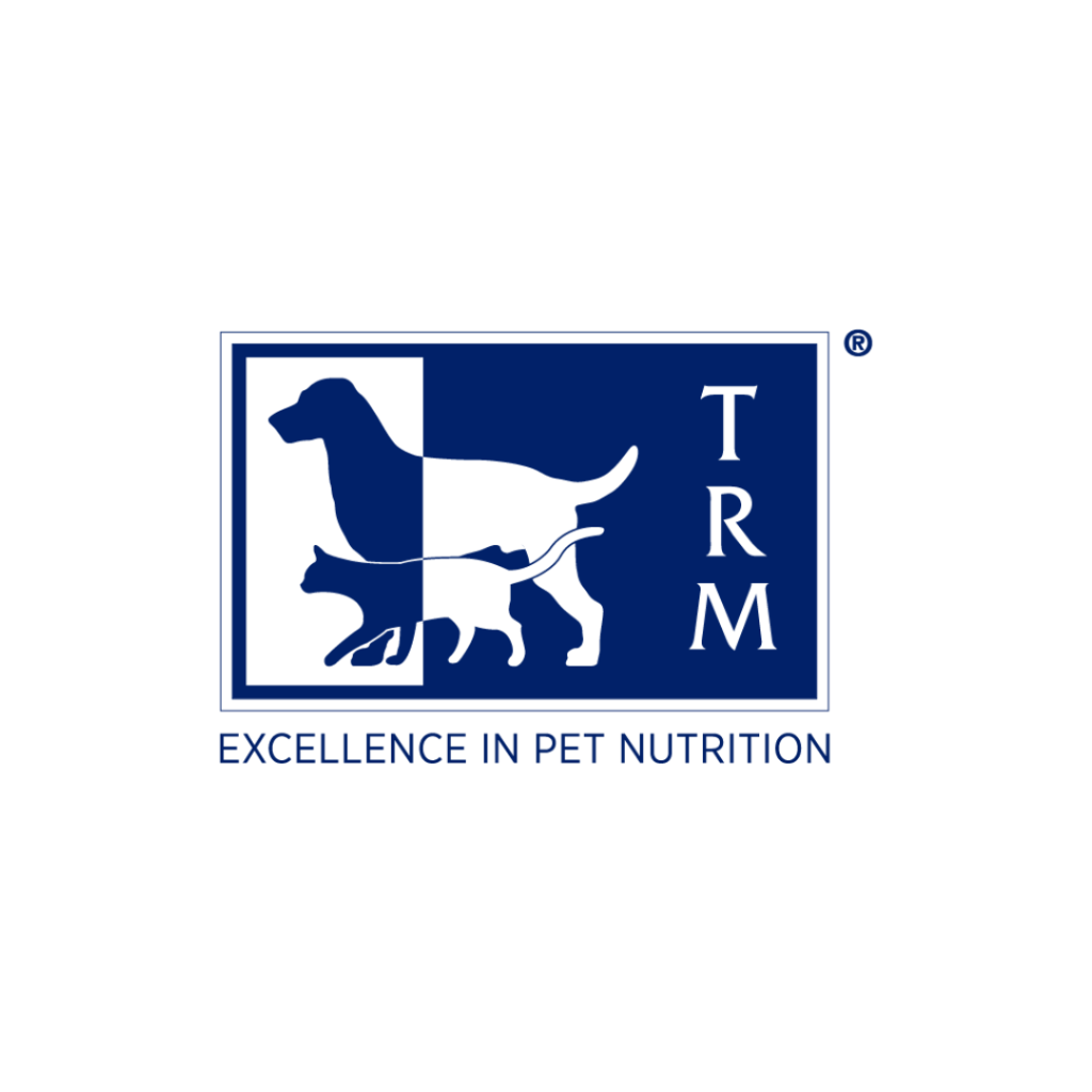 Our Website
