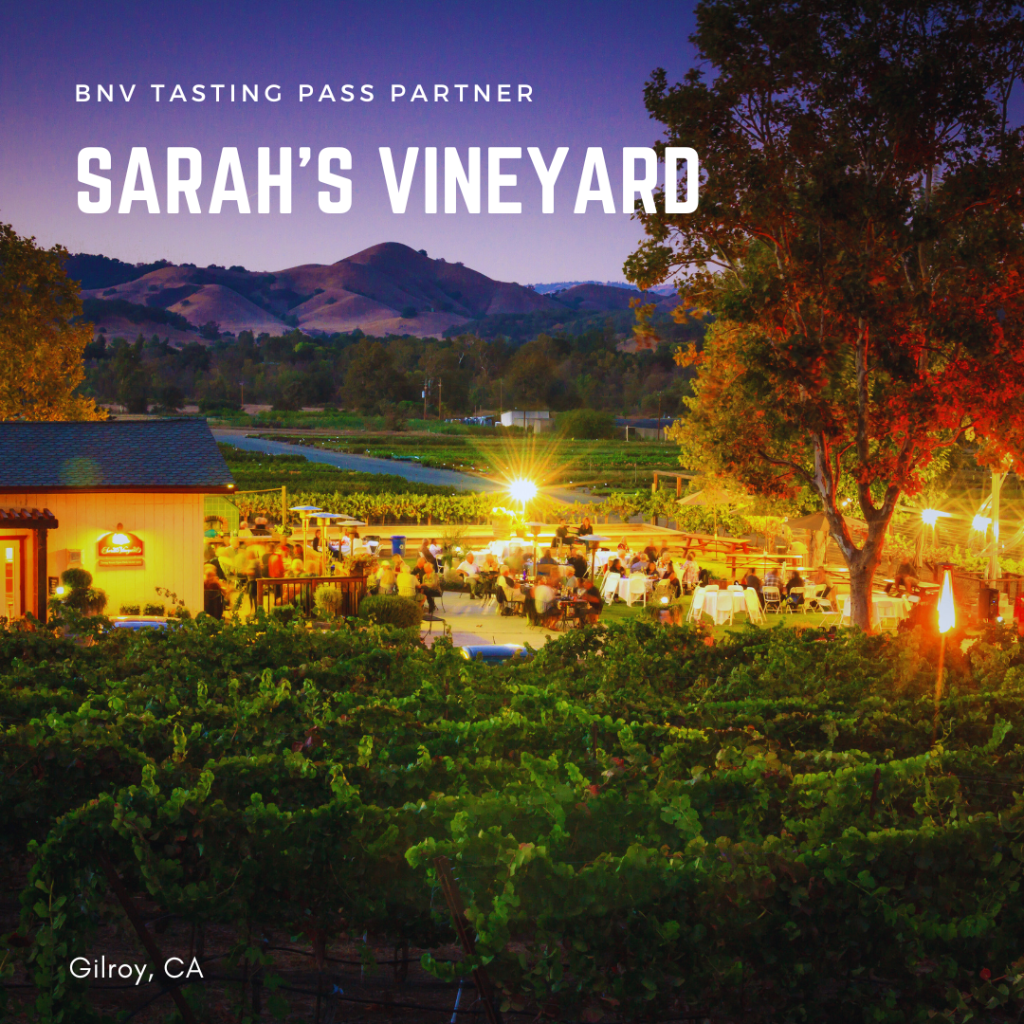 Sarah's Vineyard