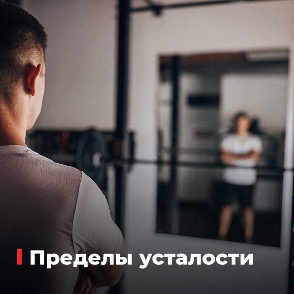 Статья