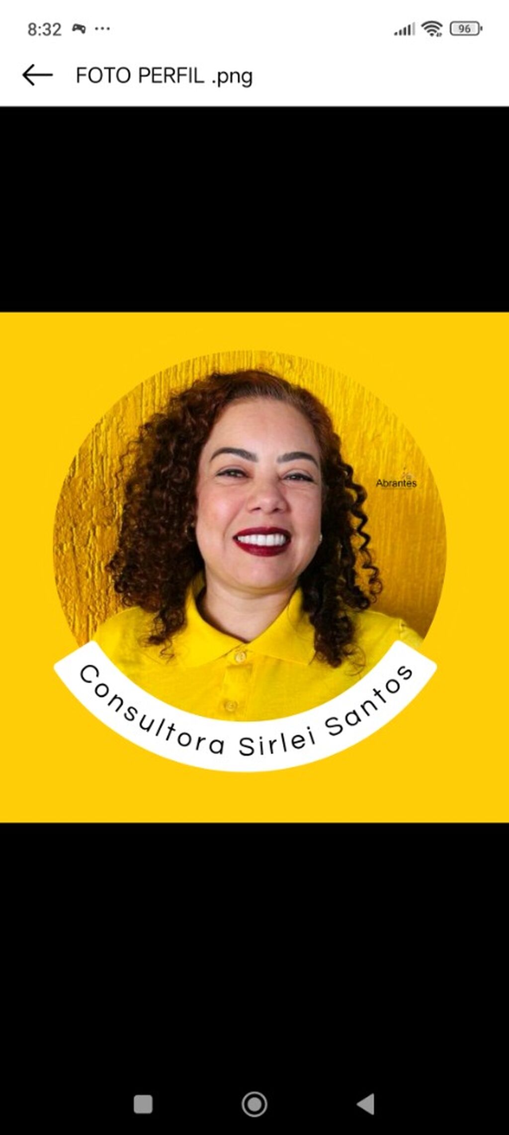 ALEX&Acirc;NIA - CONSULTORA SIRLEI SANTOS