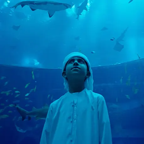 Seaworld&reg; Yas Island, Abu Dhabi inspires protection of the Arabian Gulf through &lsquo;Admission with a Mission&rsquo; initiative
