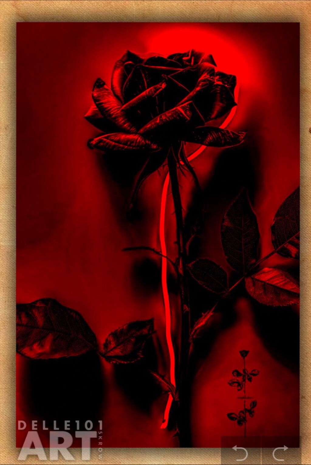 Black Rose Violator 