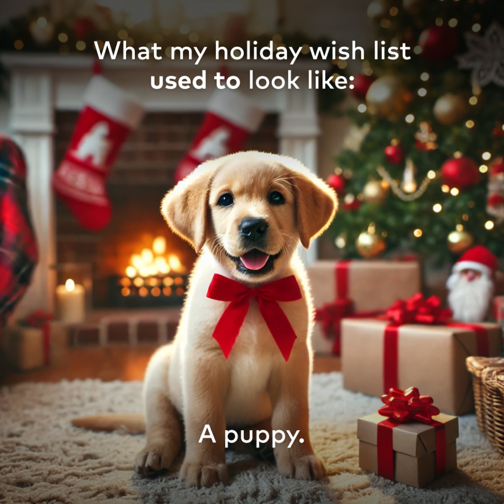Anyone else&rsquo;s holiday wish list evolved like this? 🐶
