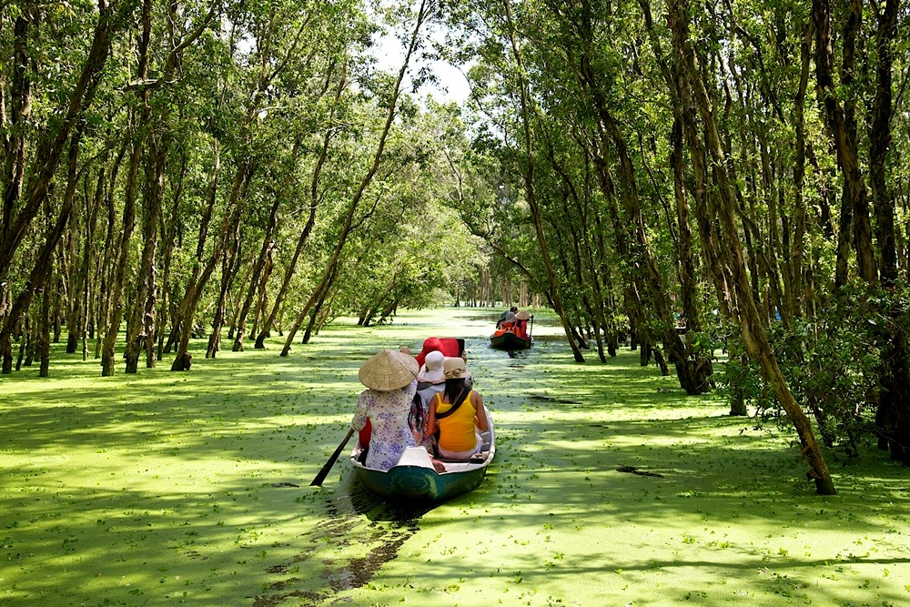 Cu Chi Tunnels and Mekong Ben Tre Small Group Day Tour