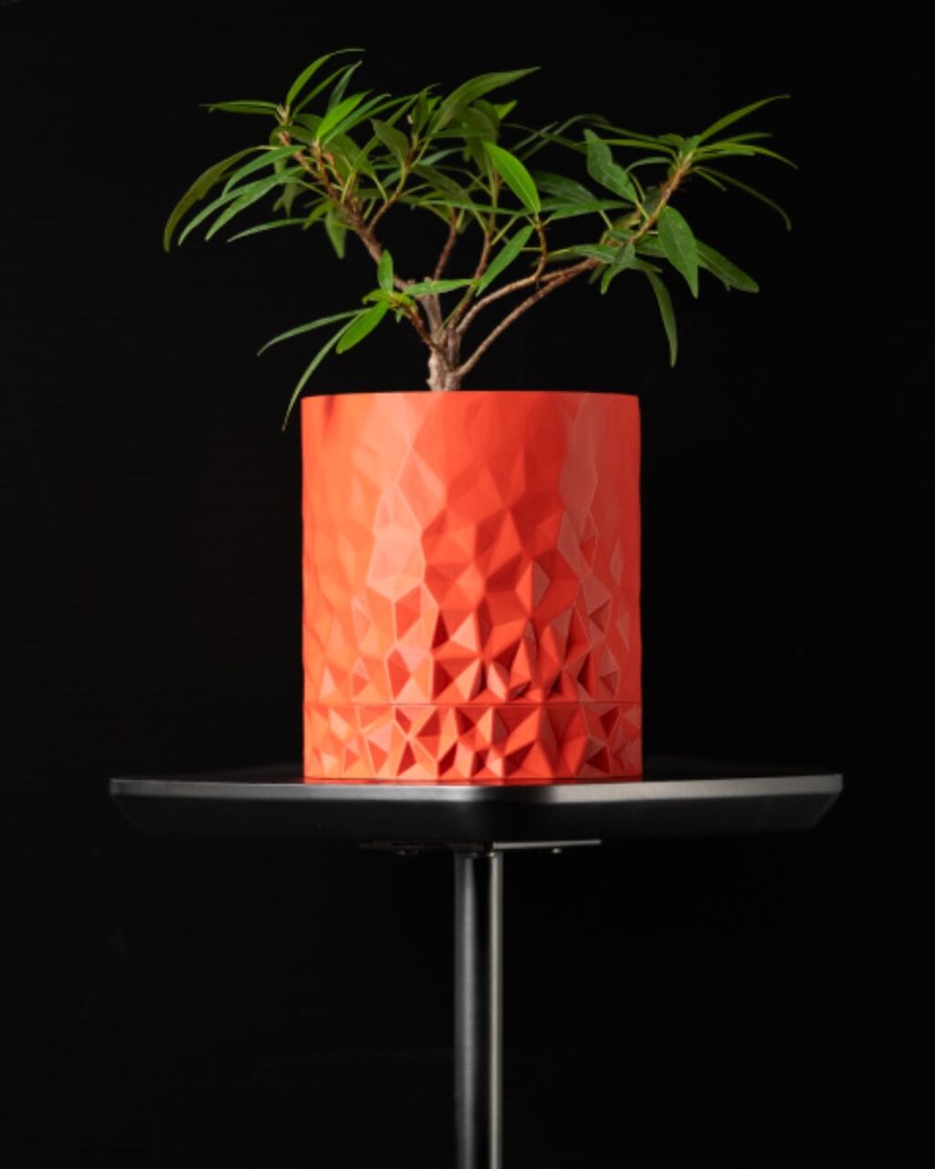 Voronoi Wall Planter