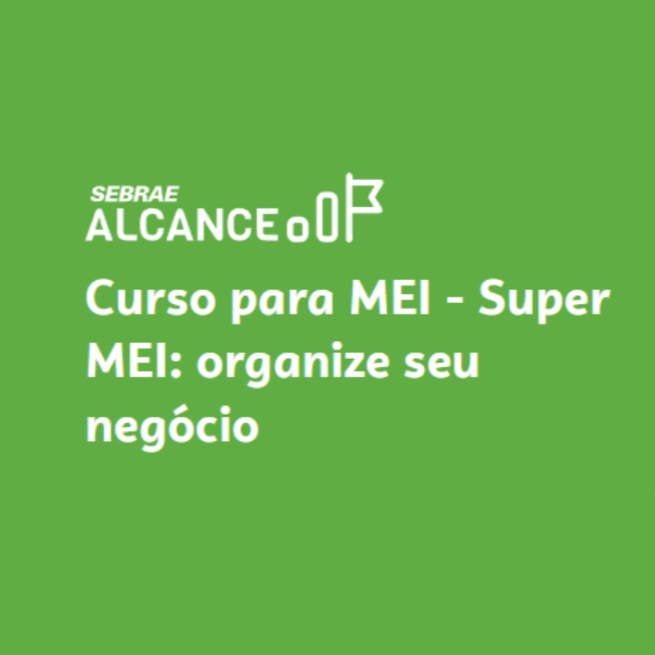 Super MEI: organize seu neg&oacute;cio