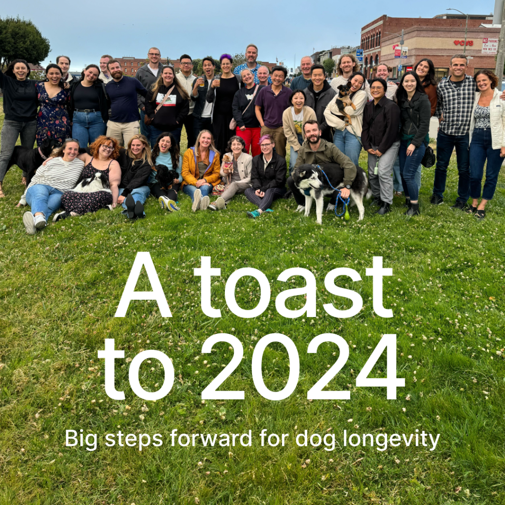 A toast to 2024 &mdash; Big steps forward for dog longevity