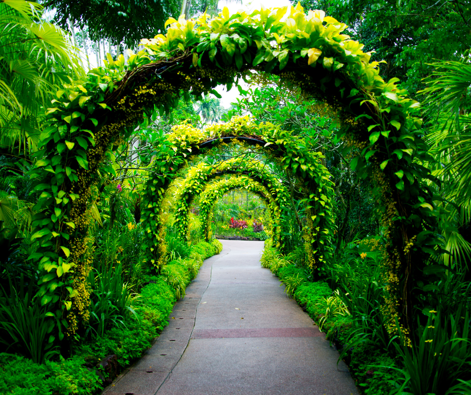 National Orchid Garden Ticket