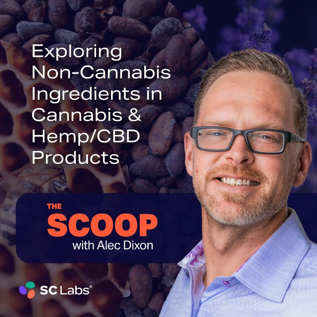Exploring Non-Cannabis Complimentary Ingredients in Cannabis Products &ndash; The Scoop with Alec Dixon