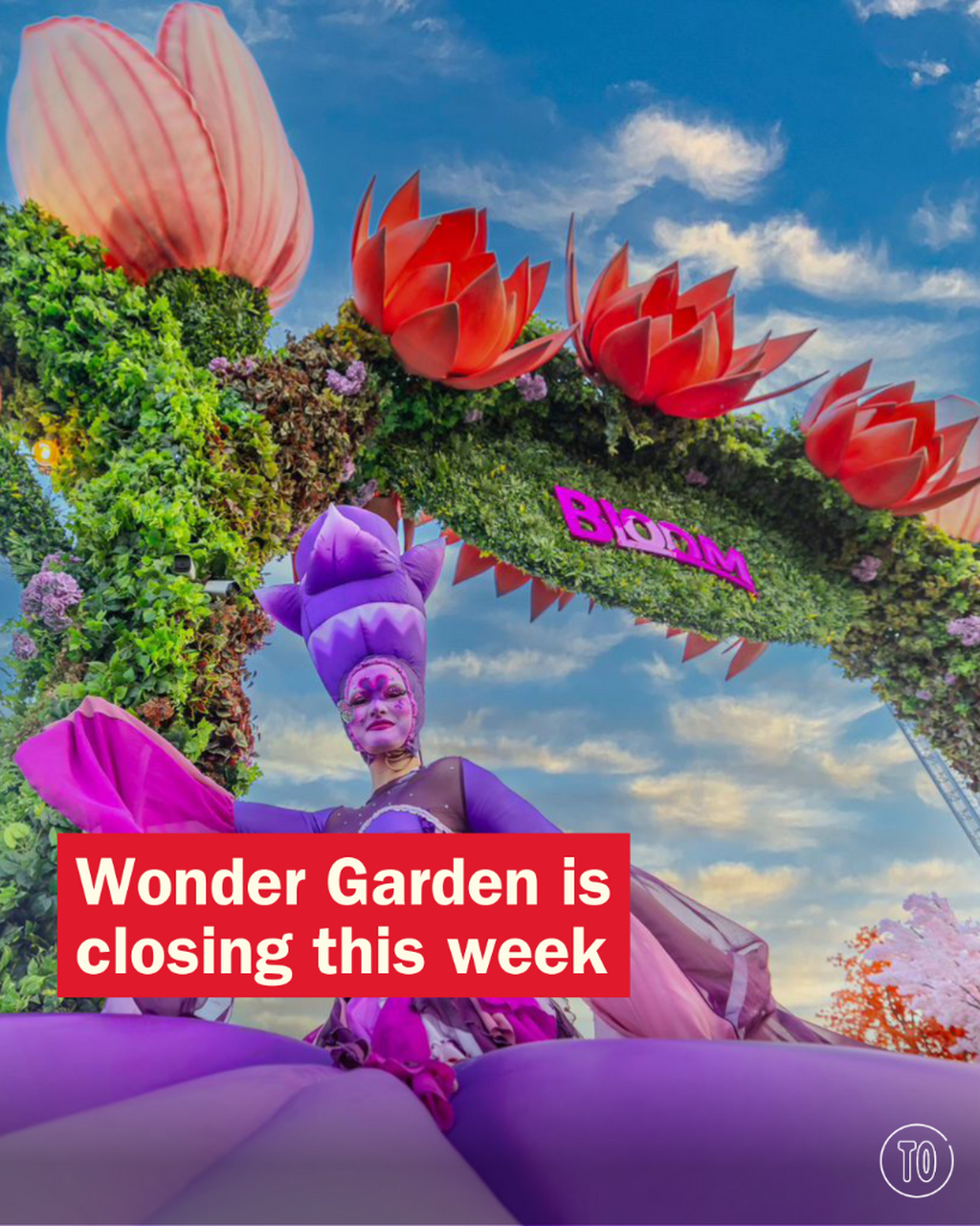Wonder Garden is closing this week &ndash; don&rsquo;t miss your last chance to visit