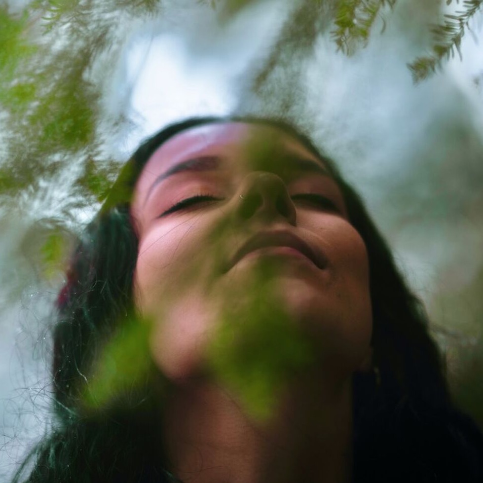 Book a private mindfulness journey