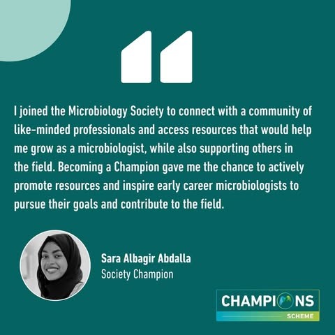 Celebrating International Volunteer Day 2024 with our Society Champions
