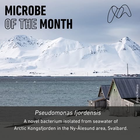 Seas, waters and spirits: explore the latest microbial discoveries