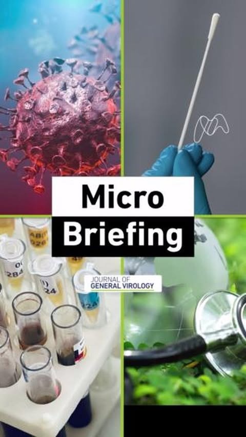 SARS-CoV-2 infection and transmission via the skin to oro-nasal route with the production of bioaerosols in the ferret model