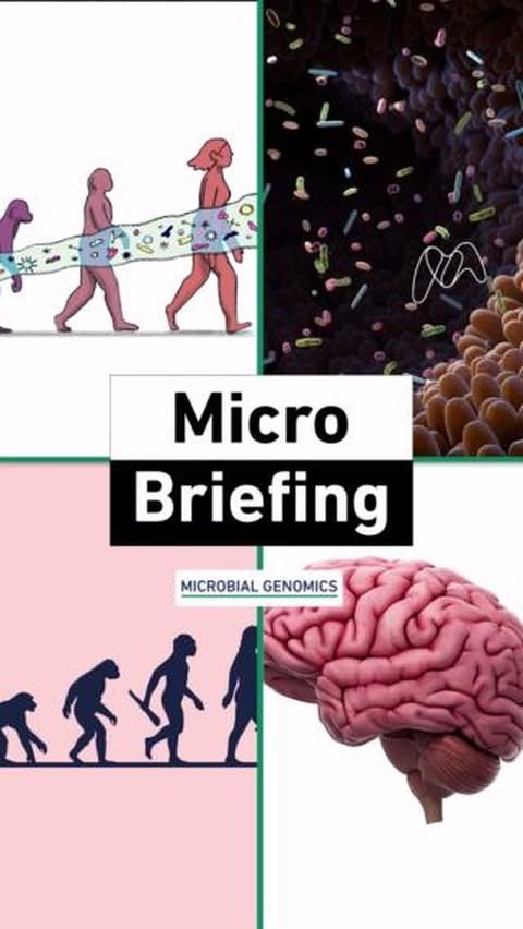 How did human brains get so big? The answer could be in our gut.