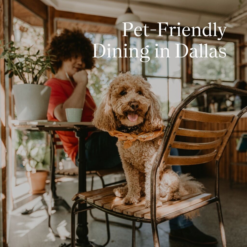 dallas pet friendly