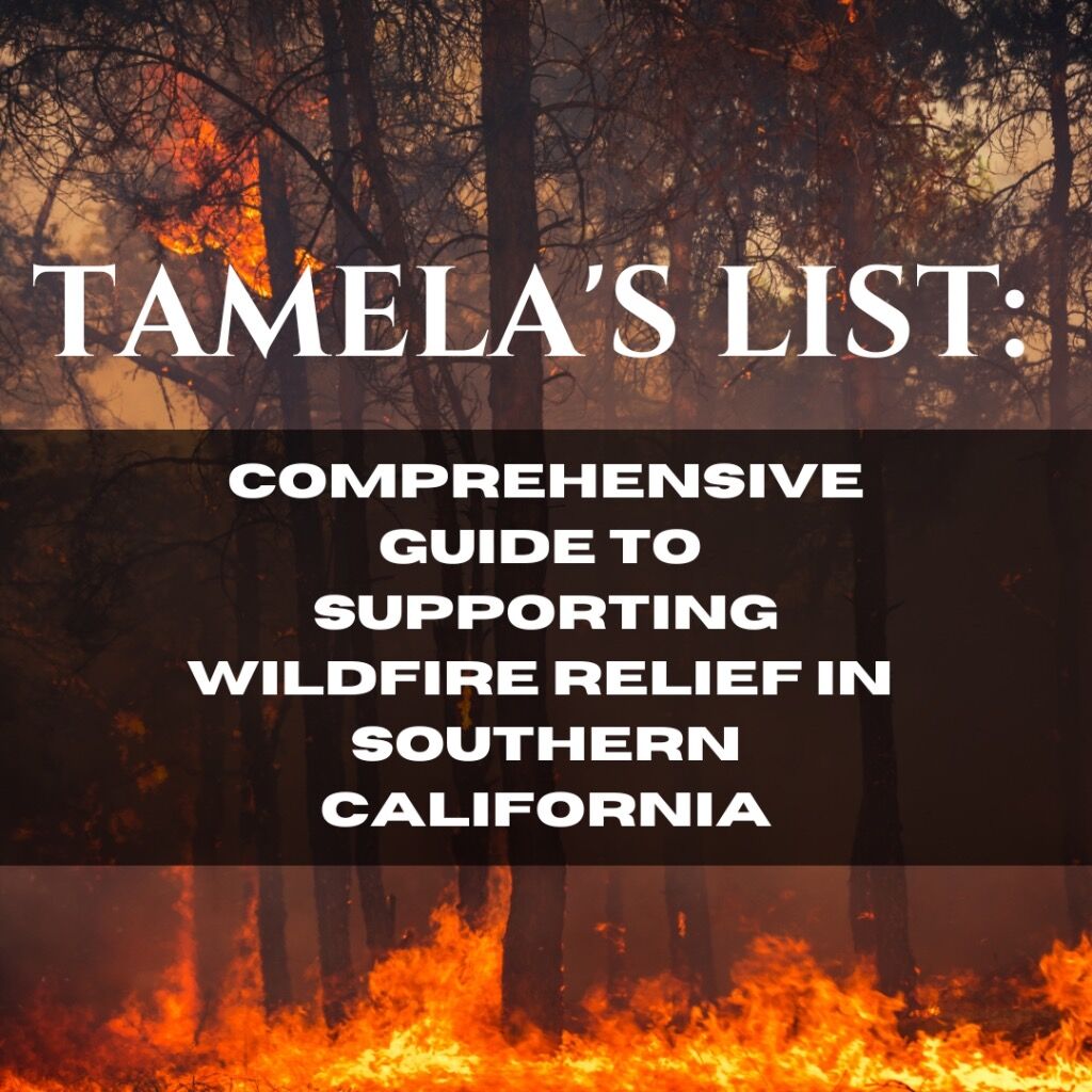 Tamela's List: Comprehensive Guide to Supporting Wildfire Relief in Southern California - Tamela D'Amico