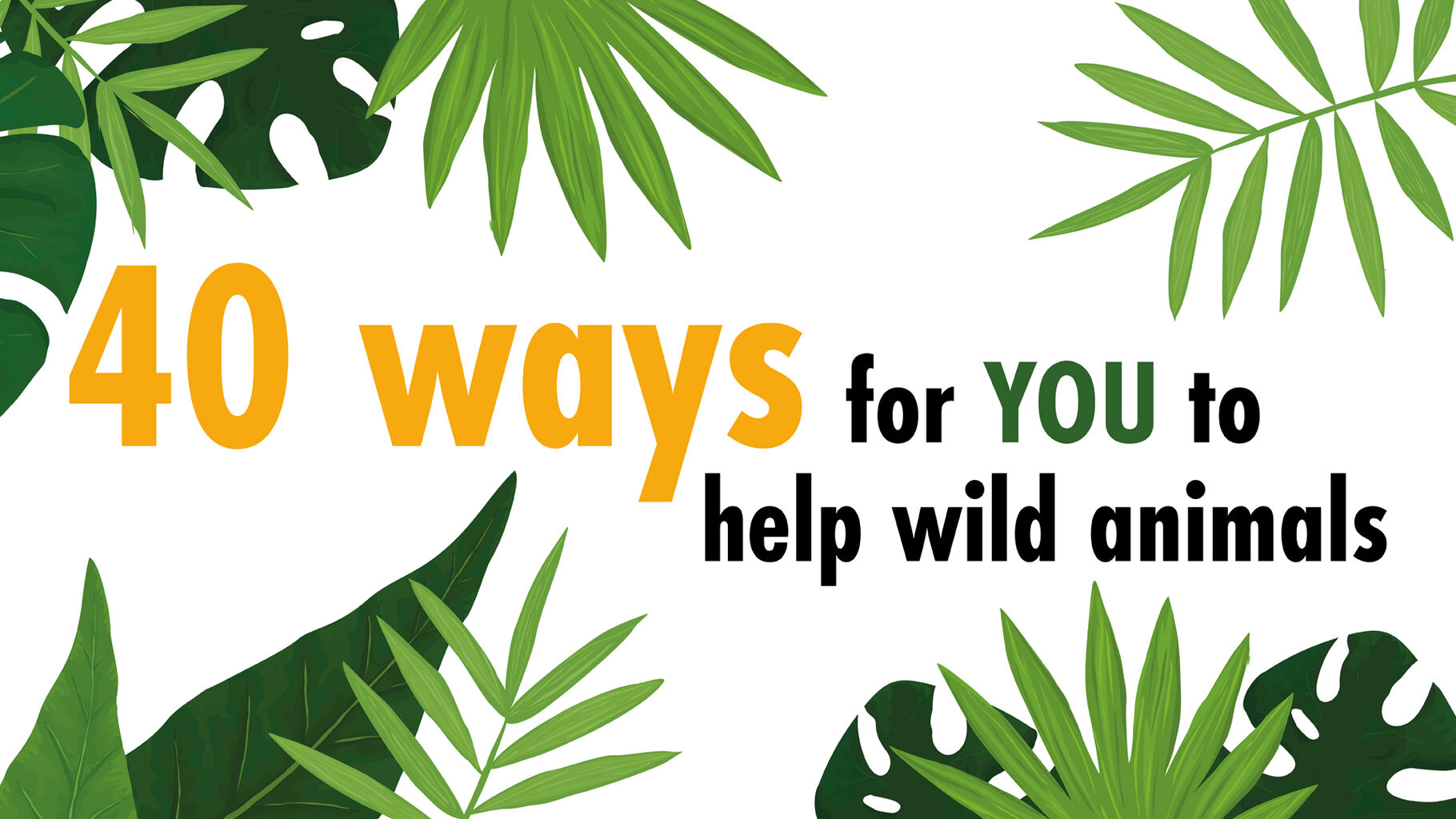 40 ways to help wild animals