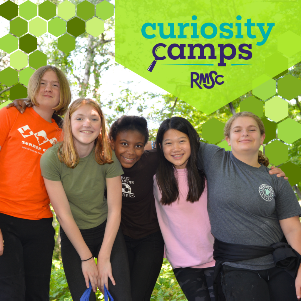 2025 Summer Curiosity Camps