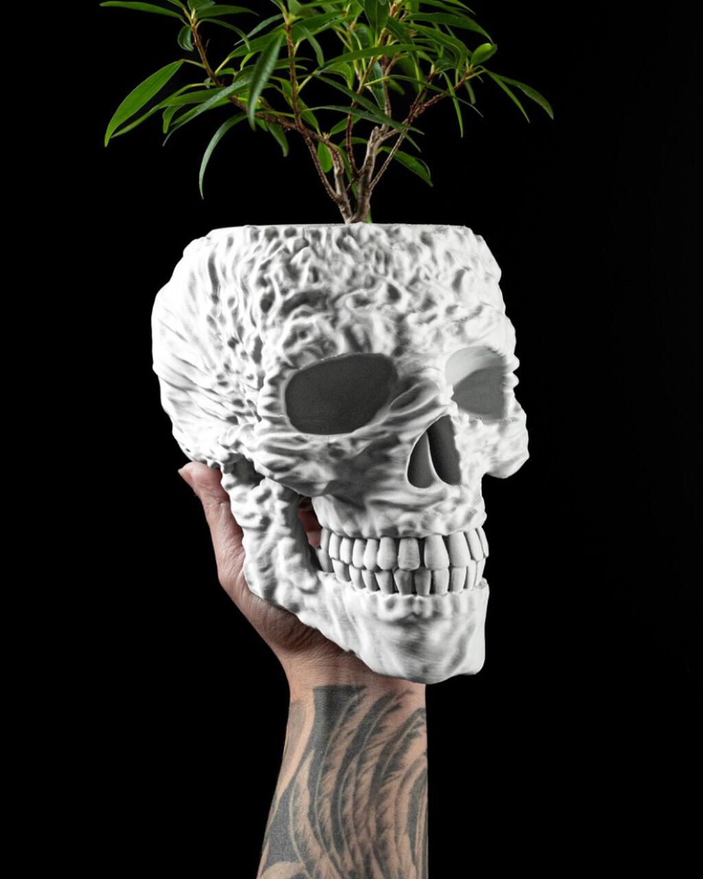 Skull Planter Pot