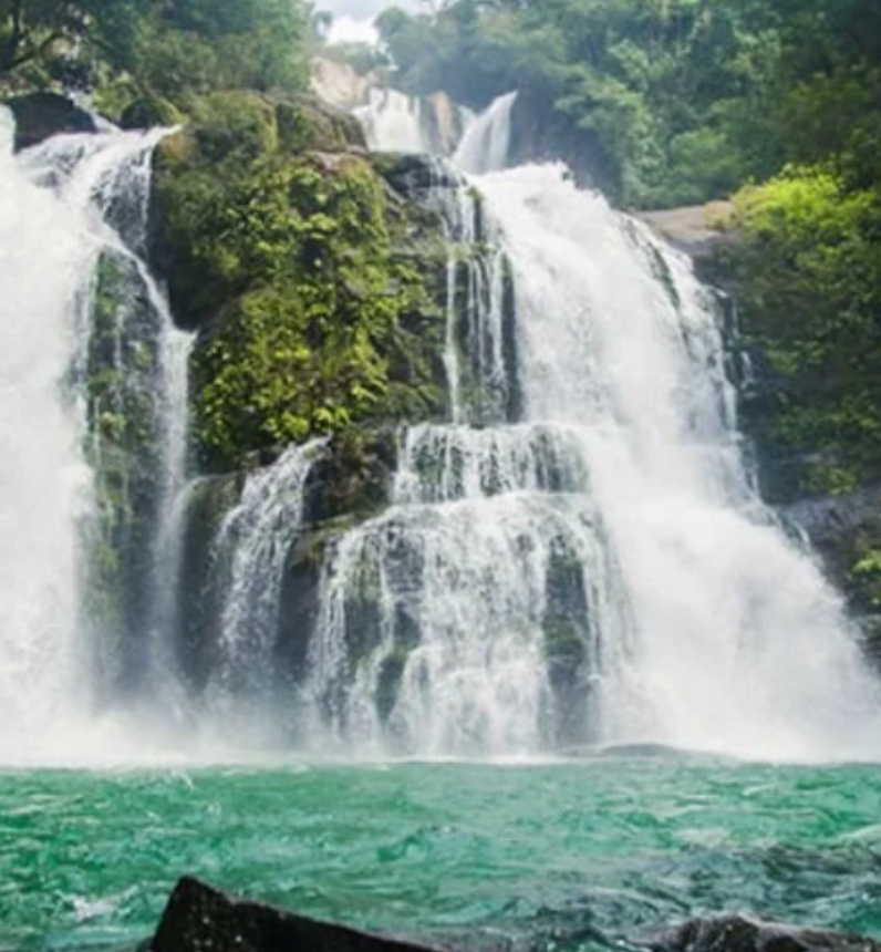  November 7 - 13, 2026: The Art of Joy: Reflect and Recharge in Costa Rica