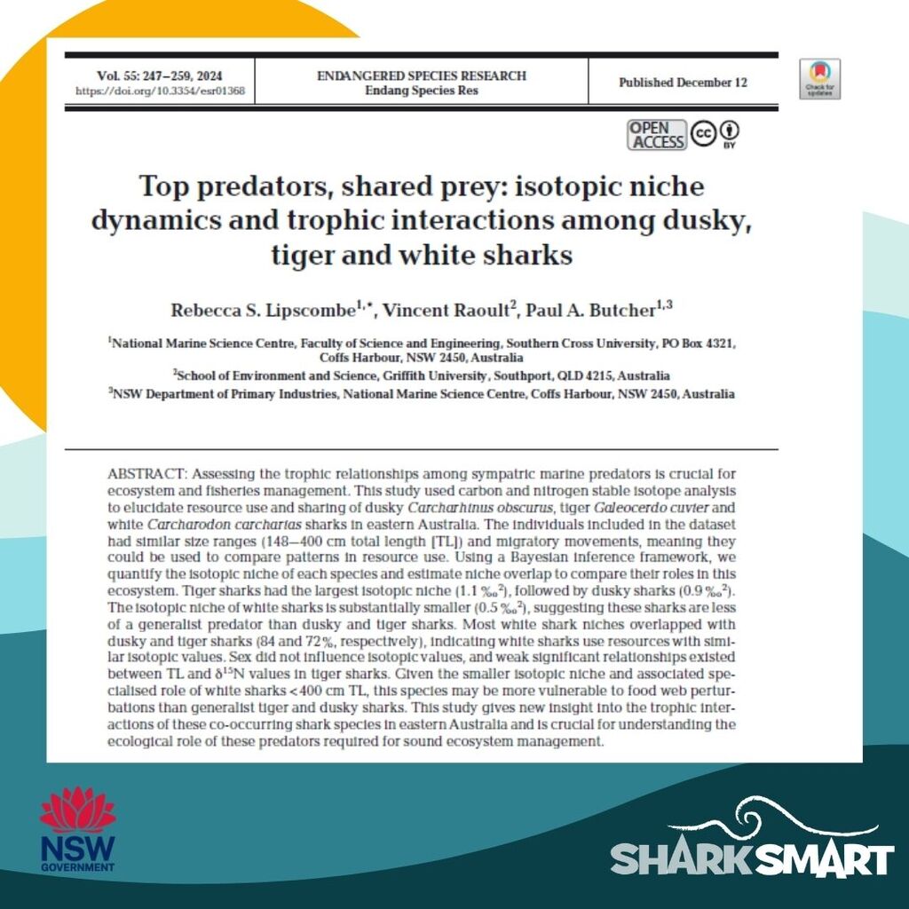 Top predators, shared prey: isotopic niche dynamics and trophic interactions among dusky, tiger and white sharks