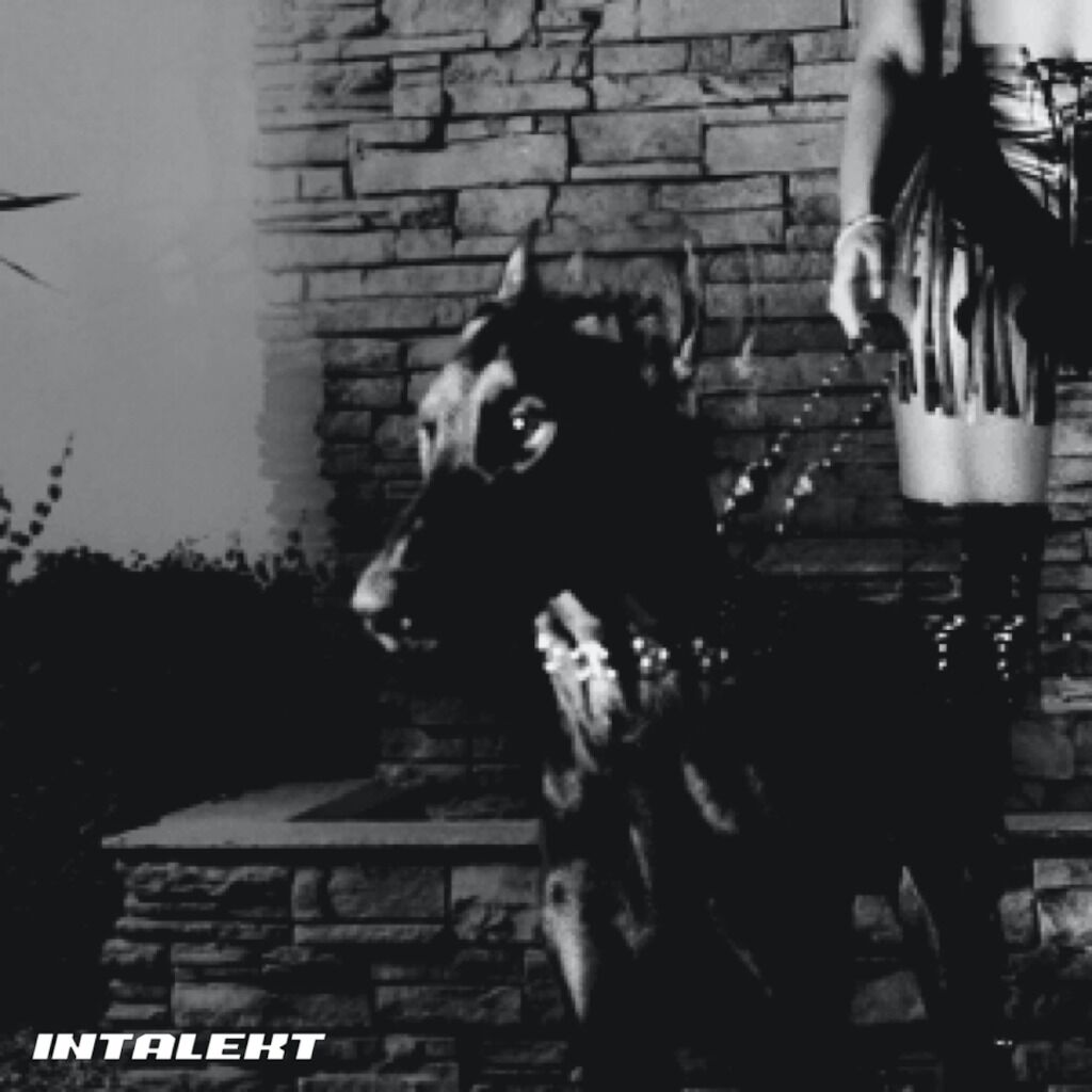 MUTT (INTALEKT REMIX)