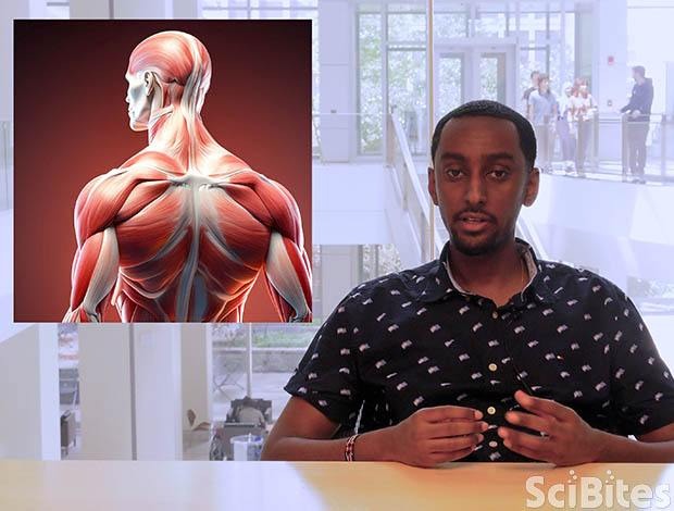 A Glimpse Into Neuromuscular Disorders