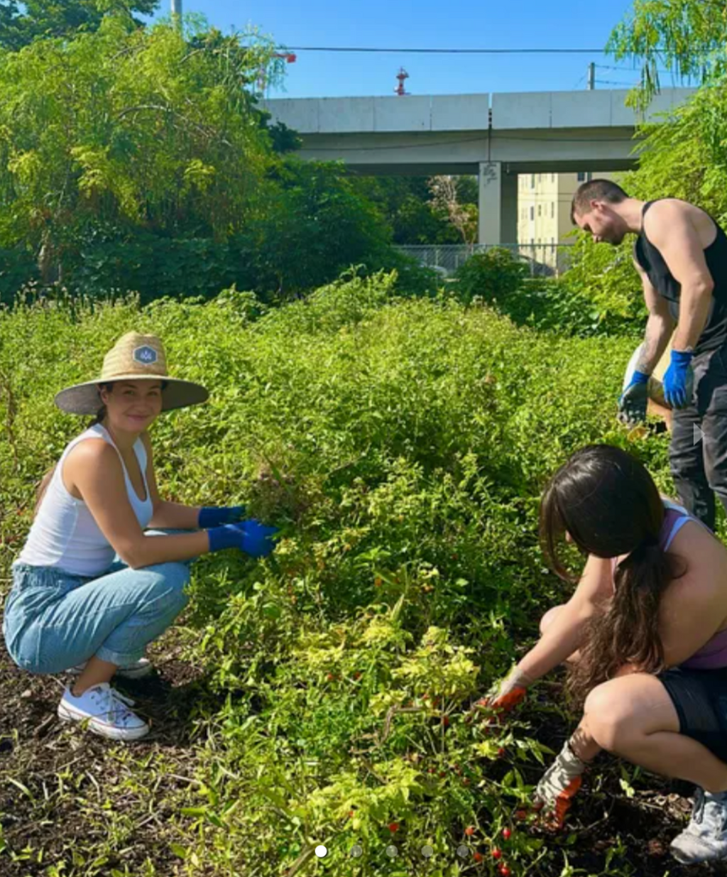 White Coats and Green Thumbs - University of Miami Medicine Magazine