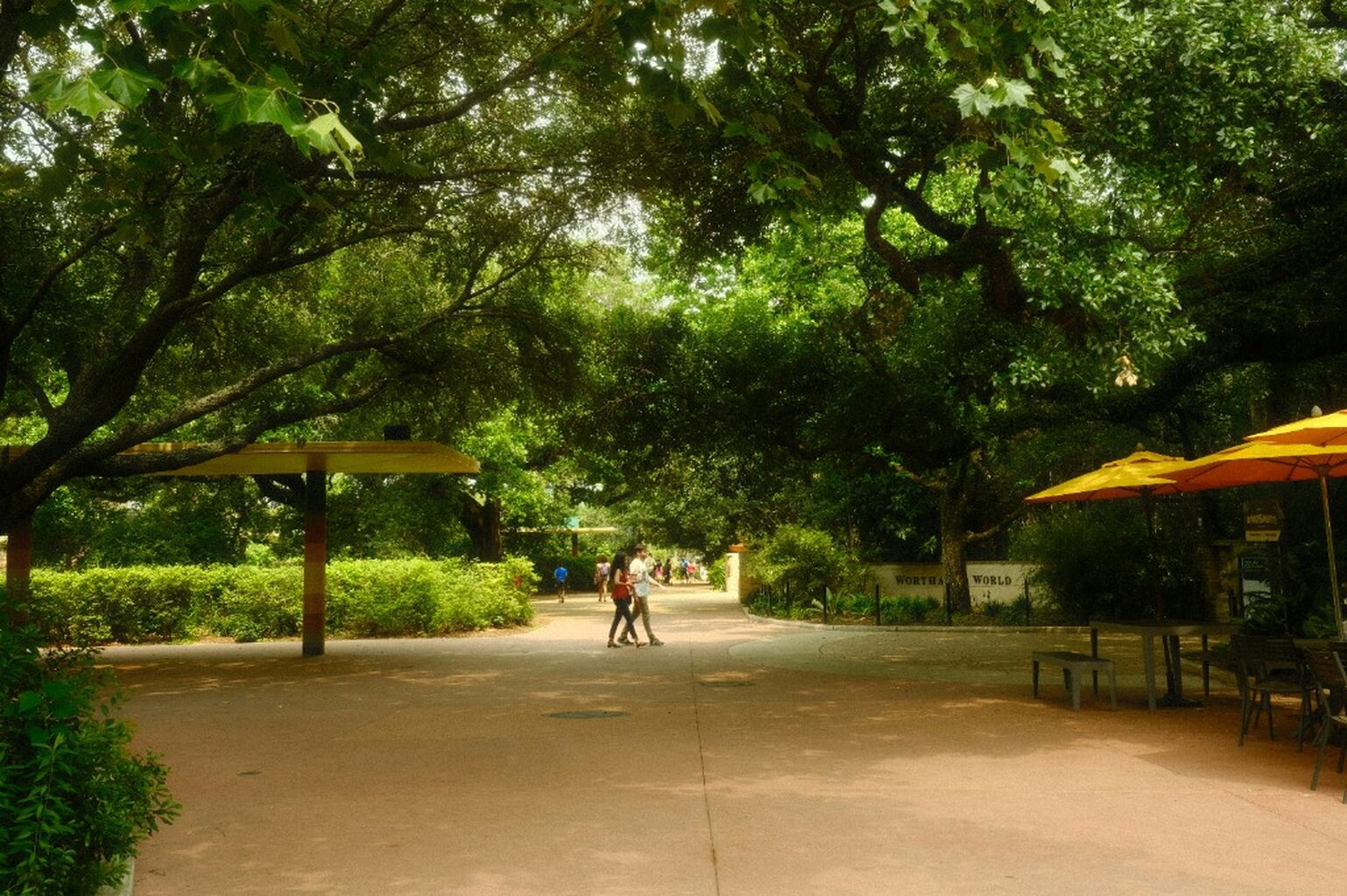 Houston Tree Equity