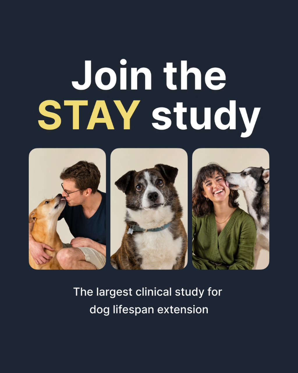 Join the STAY study