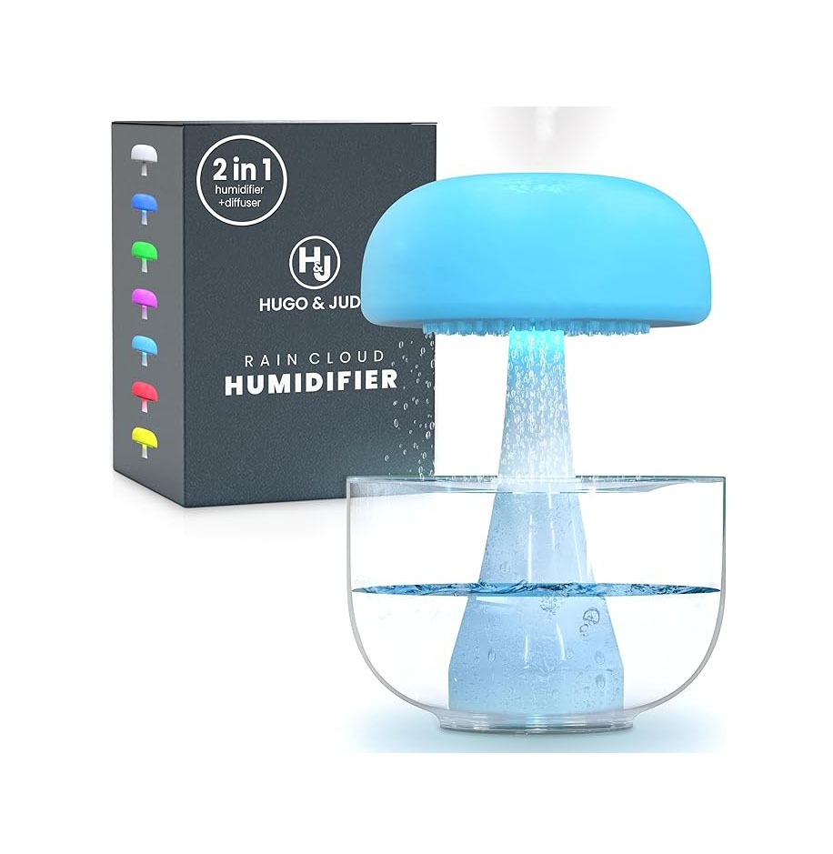 rain cloud humidifier