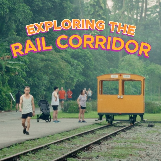 Exploring the Rail Corridor | Draft Master Plan 2025