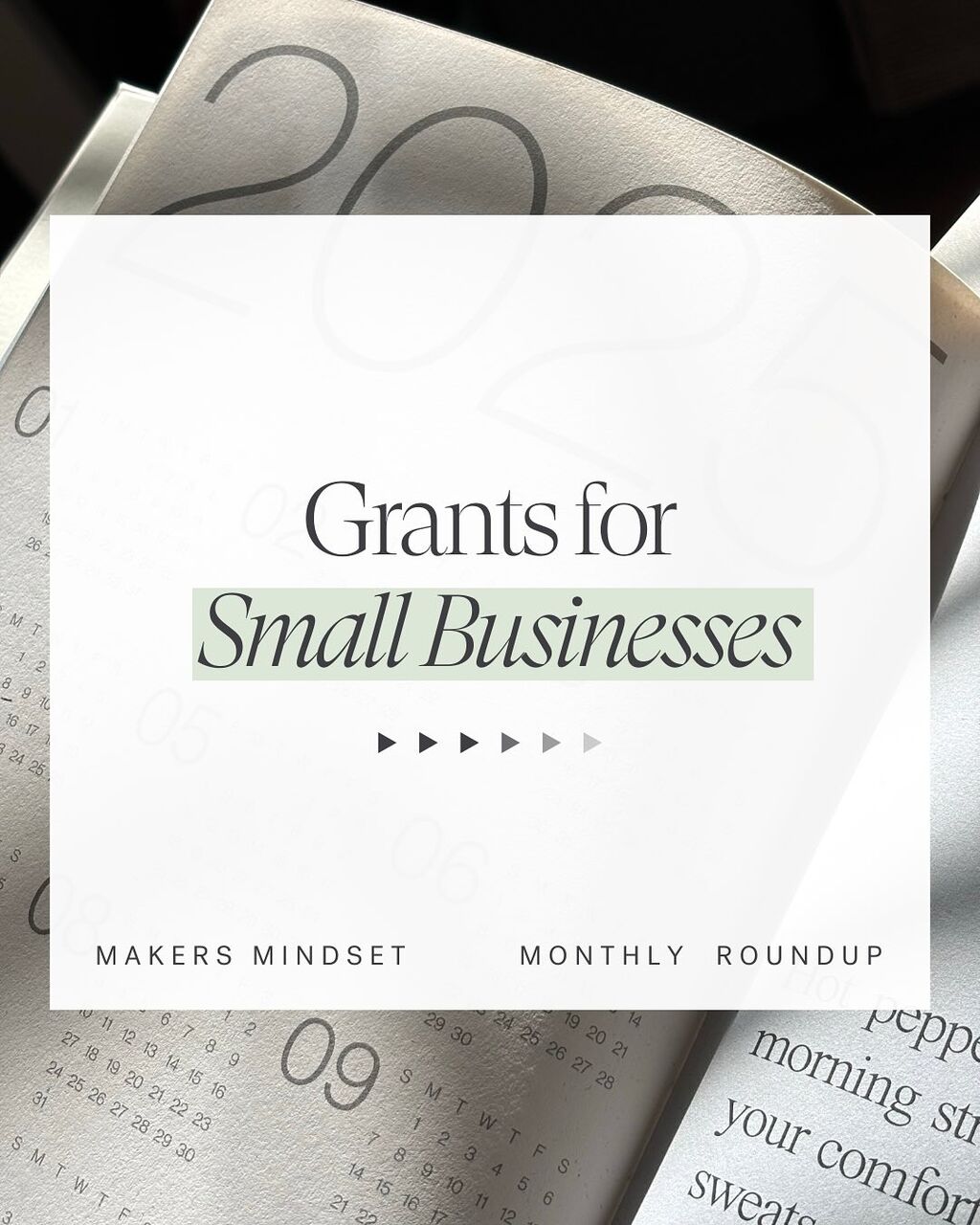 Makers Mindset Newsletter 