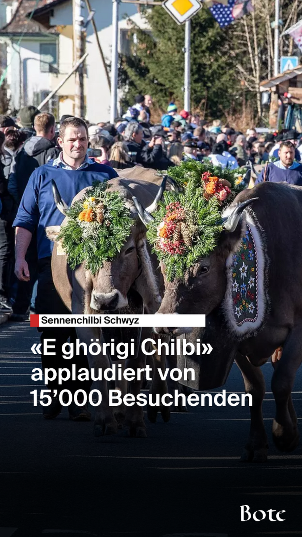 Sennenchilbi Schwyz