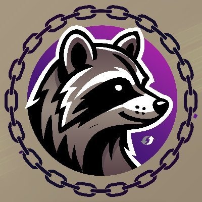 Raccoonswap Info