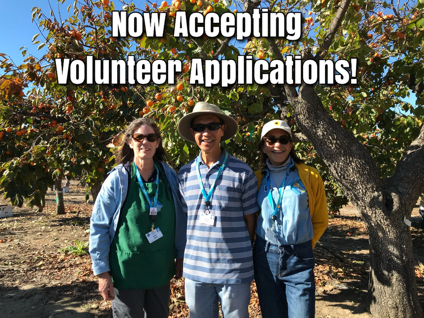 Farm Volunteer Recruitment 